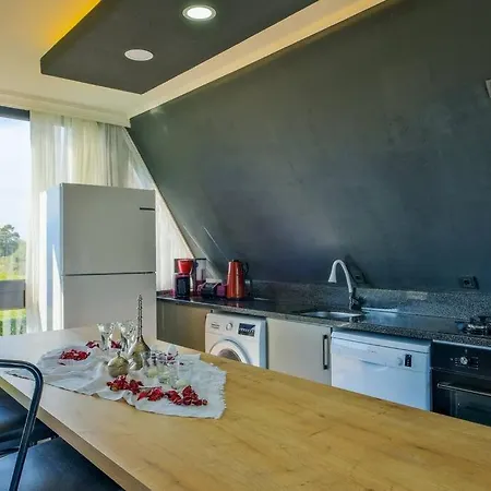 Vila Private I 2 Saklikent